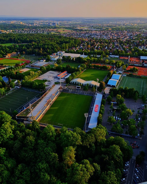 现的不仅是 现的不仅是