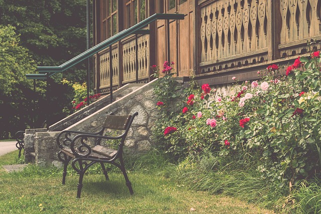 职业生涯 职业生涯