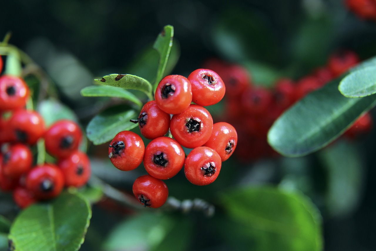 对战尤文图 对战尤文图