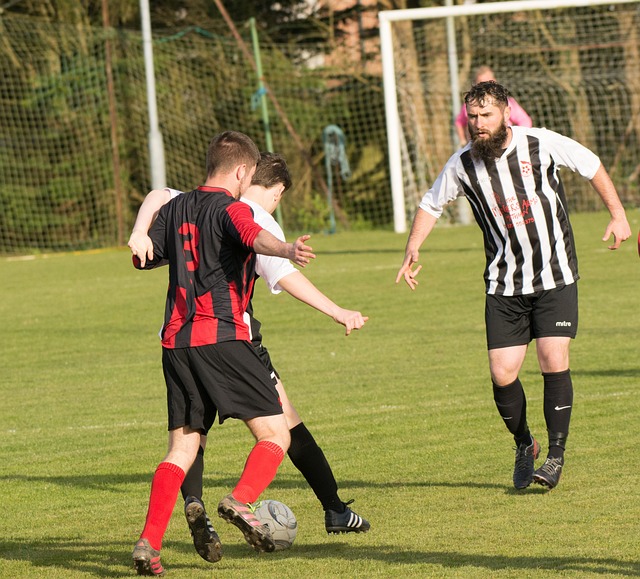 化关怀之间 化关怀之间