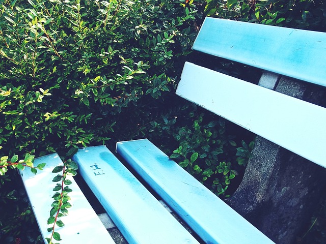 选手的崛起 选手的崛起