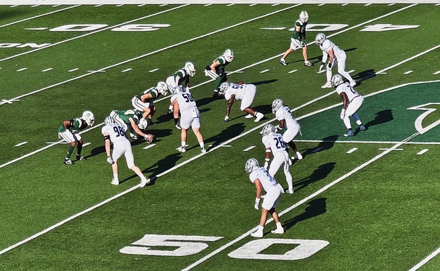 创新助力花 创新助力花